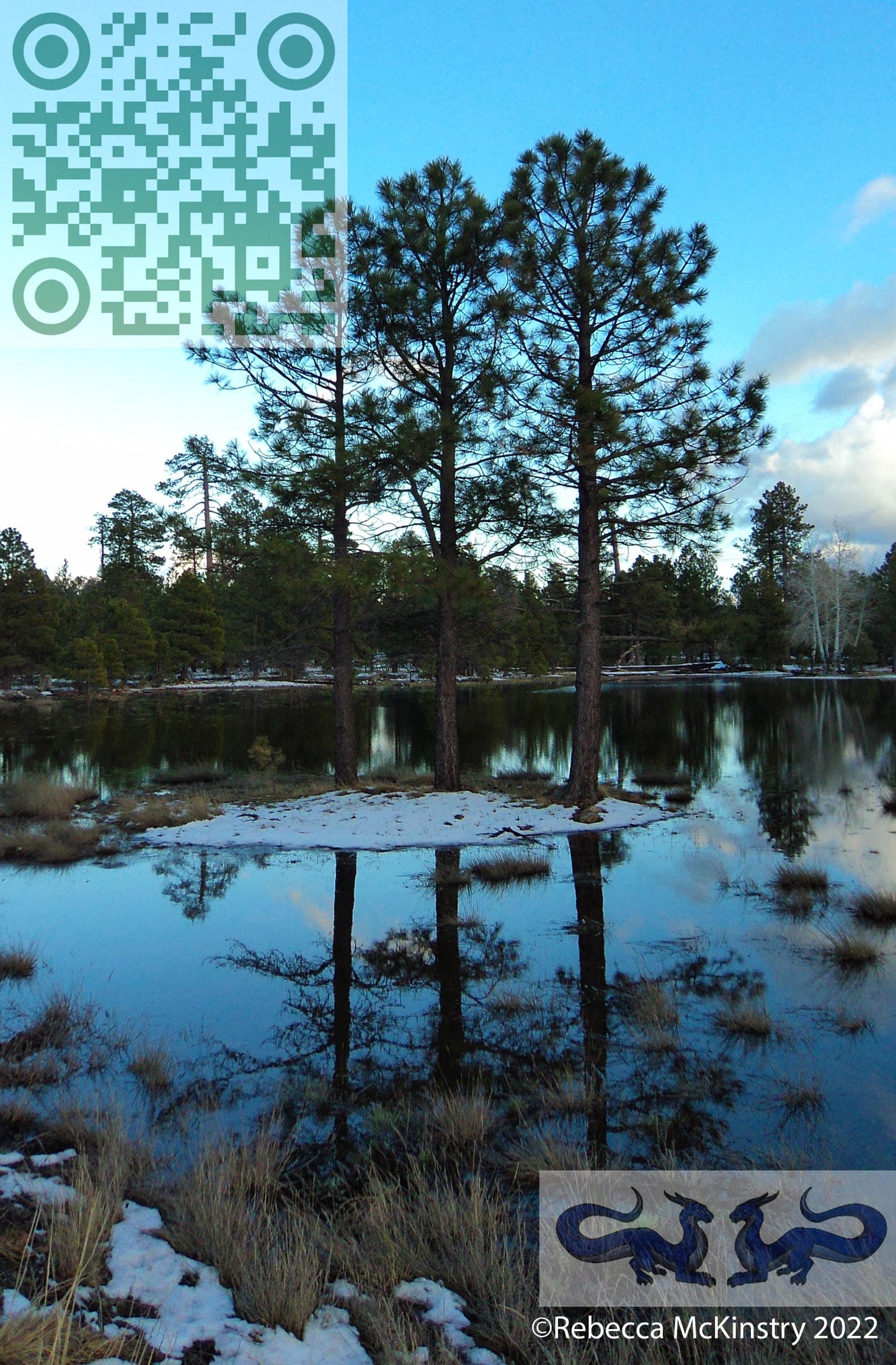 Mountain Triplets: Tranquil Pine Reflections